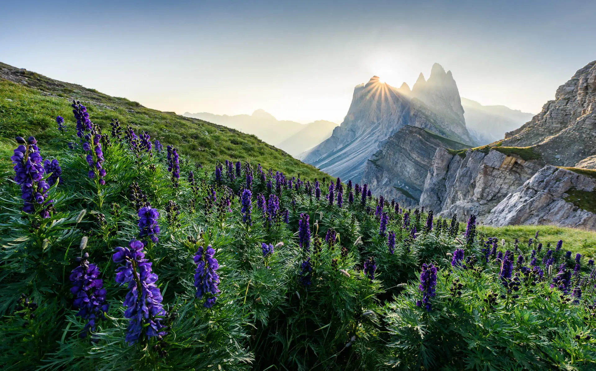 Morning on Seceda