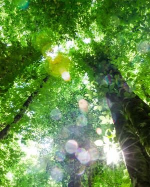 Eingangsbereich Bilder