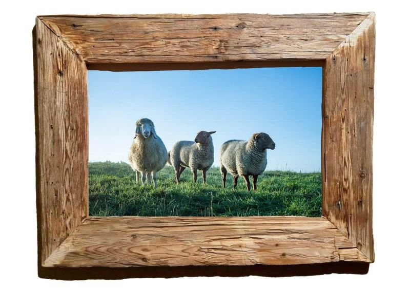 Altholzrahmen-DIESchafe-60x40cm Altholzrahmen-DIESchafe-60x40cm