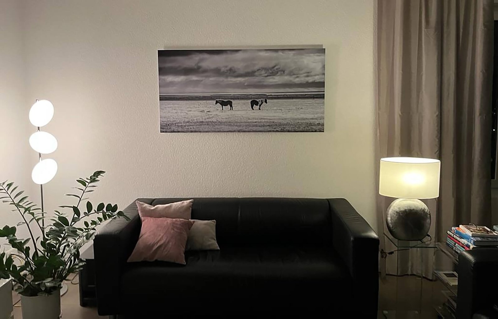 Zwei Pferde - Valentin Pfeifhofer