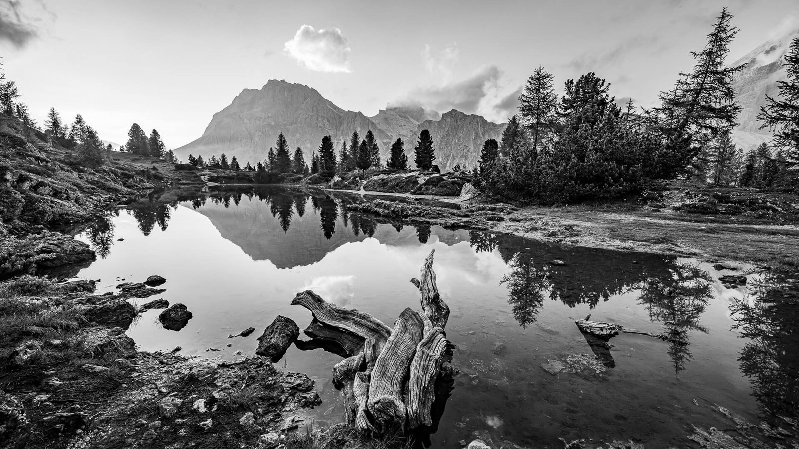 Lago Limides – Schwarz-Weiß